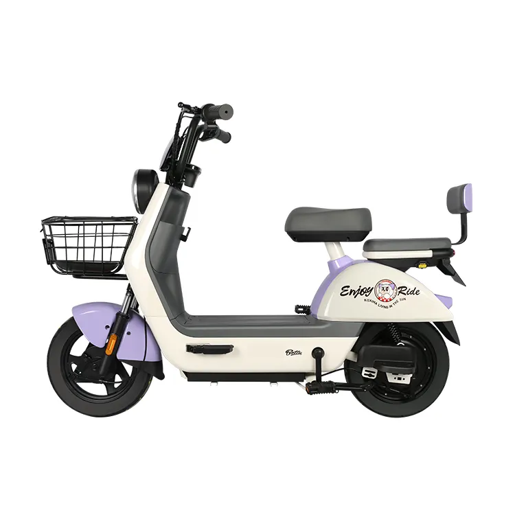 Electric bike for sale