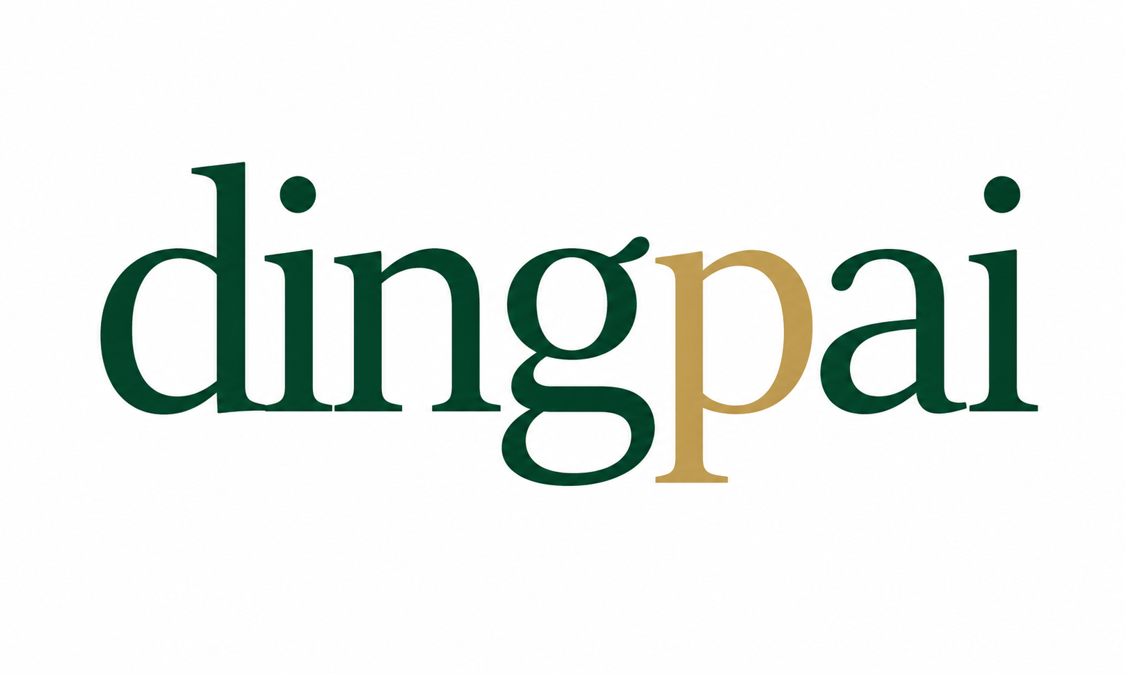 DINGPAI (SHENZHEN) GAMING PRODUCTS CO., LTD. logo