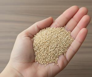 Graines de sésame blanc indien naturelles, triées Sortex, pureté 99%, teneur en huile 52-54%, récolte 2025, vente en gros, export, fournisseur - Product Image 2