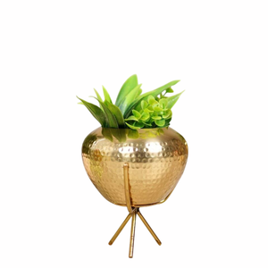Pot de fleurs moderne en laiton avec plante verte, jardinière de bureau d'intérieur, design circulaire, style glamour, finition sculptée à la main - Product Image 1