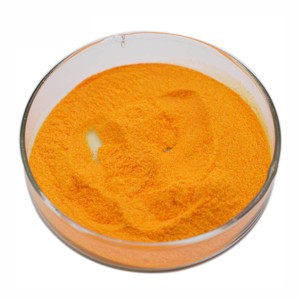 Extrait de racine de curcuma de haute pureté 95% naturel pour compléments alimentaires, aliments fonctionnels et produits nutraceutiques - Product Image 2