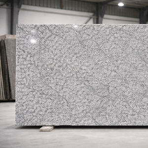 Losas de Granito Blanco P de la Mejor Calidad de la India para Cocina y Baño, Decoración de Paredes de Villas y Hospitales, Exportación a Granel desde India - Product Image 6