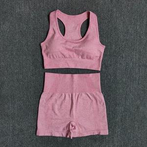 Vêtements de sport pour femmes, ensemble de yoga à séchage rapide, tenue de sport pour la gym, tenue de course, vêtements de sport actifs - Product Image 3