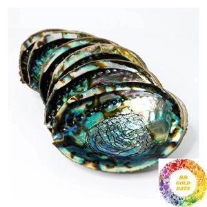 Coquille d'ormeau naturelle pour l'artisanat, la décoration en mosaïque, les projets faits main, découpe sur mesure et conception de produits créatifs - Product Image 5