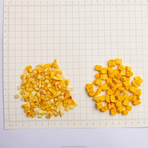 Cubes de mangue 5*5mm 0 <span class=keywords><strong>sucre</strong></span> <span class=keywords><strong>ajouté</strong></span> mangues fruits en dés pour ingrédient/boulangerie/collations/thé au <span class=keywords><strong>lait</strong></span>/boulangerie paquet de gros personnalisé accepter - Product Image 2