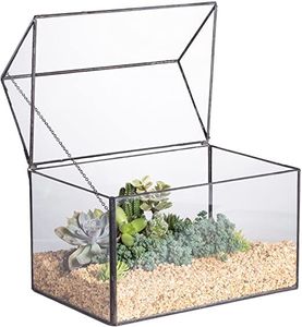 Terrario Geométrico Moderno de Vidrio, Florero de Mesa, Recipiente para Plantas Hidropónicas - Product Image 6