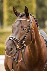 Diadema de Cuero de Lujo para Caballo, Decorada con Cristales, Forma Curva, Cómoda, al Mejor Precio, Modelo Internacional Rub 7860B - Product Image 2