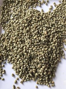 Robusta Whole Bean Coffee Premium Green Beans para un sabor rico y audaz - Product Image 2