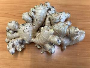 Exportateur de gingembre frais du Vietnam pour les entreprises d'importation alimentaire recherchant des approvisionnements en gingembre en vrac compétitifs en conteneurs - Product Image 3