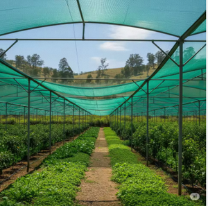 Service de découpe de filet plastique agricole tricoté pour serre, couleur verte, fabriqué en Inde - Product Image 1