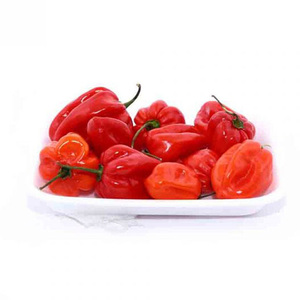 Single Spices & Herbs Raw <b>Dried</b> Habanero Pepper Non-Irradiated - Product Image 2