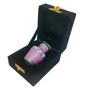 Mini Urna Conmemorativa Rosa Suave para Cenizas Humanas y de Mascotas – Acabado Plateado Pulido con Caja de Presentación de Terciopelo Negro de Lujo - Product Image 1