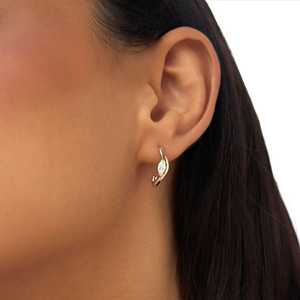 Pendientes de Aro con Diamantes Cultivados en Laboratorio, Corte Marquesa, Claridad VVS2, 0.60 CTW, Oro Puro de 14K, para Mujer, Novia, Venta al Por Mayor, RTS - Product Image 5