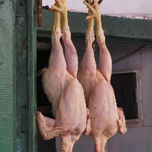 Pollo Asado Congelado con Certificación Halal en Venta, Pollo Entero de Alta Calidad para Exportación al por Mayor - Product Image 6