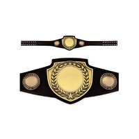 Ceinture de championnat du monde poids lourd de haute qualité à prix abordable pour la lutte, designs personnalisés, doublure en cuir durable, unisexe