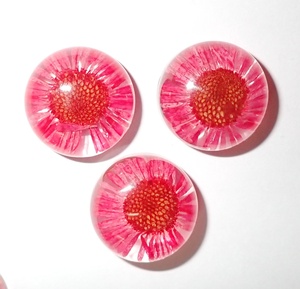 Flor de Daisy Fleabane, Espécimen Real en Cabujón de Plástico Redondo de 19x19 mm, Base Plana Transparente, Moderno, para Manualidades y Joyería - Product Image 5