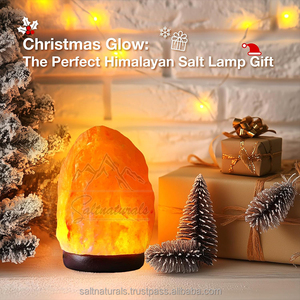 High Quality Himalayan Salt <b>Lamp</b> Natural Stone Himalayan Salt <b>Lamp</b> Calming Glow Himalayan Salt <b>Lamp</b> For Bedroom - Product Image 5