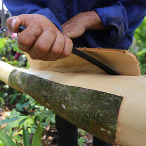 Tubos de Canela Cassia Divididos Más Vendidos, Certificados por la IMO, Conservados en Aceite, Fritos y Procesados, para Exportación a Granel - Product Image 4