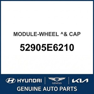 Nouvelles enjolives de roue Sonata 52905E6210 - Product Image 1