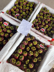 Mangosteen fresco | 100% Fruta orgánica al por mayor de Vietnam | El mejor precio y alta calidad - Product Image 4
