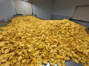 Jackfruit séché du Vietnam, collation de fruits naturels croustillants, ingrédient alimentaire, vente en gros, exportation - Product Image 3