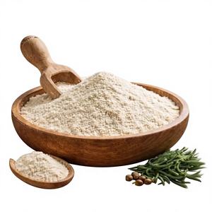 Polvo Probiótico de Bacillus Subtilis - Product Image 1