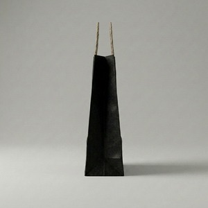 Custom Printed Kraft <b>Paper</b> <b>Packaging</b> Bag with Twisted Handles - Product Image 1