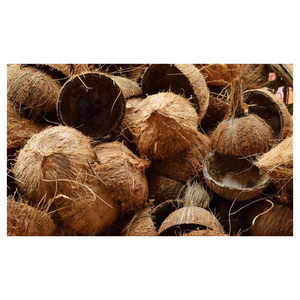 Premium quality crushed <b>coconut</b> <b>shells</b> for horticulture soil conditioning and agricultural applications - Product Image 4