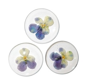 Cabujón de Plástico con Espécimen Real de Heartsease, Redondo, 38x38 mm, Base Plana Transparente, para Manualidades y Joyería - Product Image 4
