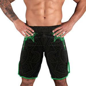 Pantalones Cortos de MMA para Hombre, Negros y Verdes, con Estampado Personalizado por Sublimación, de Secado Rápido, de Poliéster, Corte Regular, para Entrenamiento, Sin Gi, para Grappling - Product Image 2