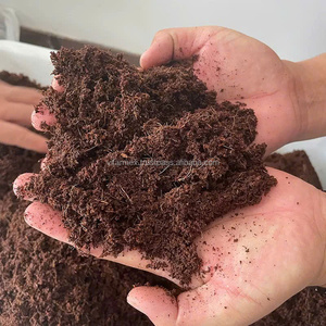 High Volume Coco <b>Coir</b> Pellets for Global Agriculture and Horticulture Use - Product Image 2