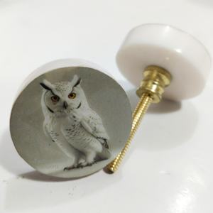 Boutons de porte en résine de luxe White Owl infusant vos intérieurs avec un attrait esthétique unique et une qualité durable - Product Image 1