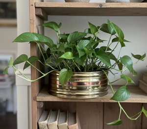 Best quality Latest Design Brass Flower Pot Indoor Golden finish Metal <b>Planters</b> hand made <b>Large</b> Outdoor Printing <b>Planters</b> - Product Image 5