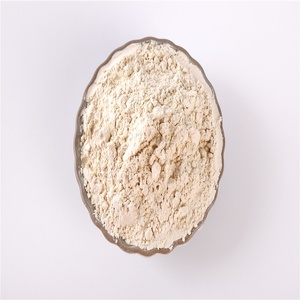 Poudre d'ail biologique en vrac pour la transformation alimentaire - Product Image 1