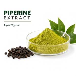 Poudre d'extrait de pipérine (extrait de plante de Piper Nigrum) de qualité alimentaire, extrait végétal avec test HPLC pour les produits alimentaires et de santé - Product Image 1