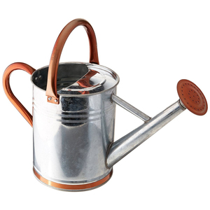 Arrosoir en acier galvanisé avec accents en cuivre et bec amovible, pot à eau en métal pour plantes de jardin intérieures et extérieures - Product Image 3