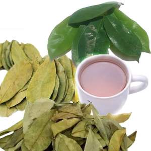 Hojas de Guanábana al por mayor | Orgánica, seca y limpia | Agricultura de Vietnam - Product Image 1