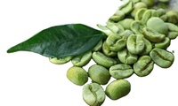 Chicchi di Caffè Robusta Verde di Prima Qualità Grado 1 S16, S18 - Naturale di Alta Qualità dal Vietnam, Miglior Prezzo Pronto per l'Esportazione
