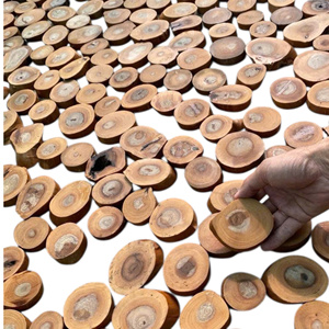 Bois flotté d'aquarium du Vietnam pour crevettes, décoration de réservoir en bois, bois naturel pour poissons d'eau douce, d'eau de mer et d'eau salée - Product Image 5