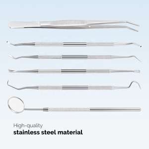 Ensemble de 9 instruments d'hygiène bucco-dentaire manuels en acier inoxydable avec étui, outils de nettoyage des dents et des gencives par Endochoice Medical - Product Image 6