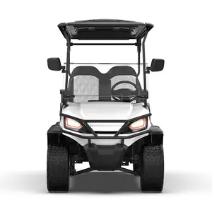6 Seater Chinese Electric Lifted Golf Cart For Sale