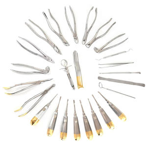 Kit d'instruments de chirurgie dentaire allemand 25 pièces : extracteurs et forceps - Product Image 1
