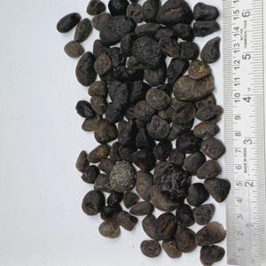 Piedra Natural de Tektita en Bruto, Venta al por Mayor, Muestra de Chintamani Cruda para Coleccionistas Metafísicos - Product Image 3