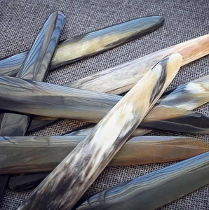 Décoration en corne de buffle polie, agate et coquillage brut pour la maison - Product Image 4