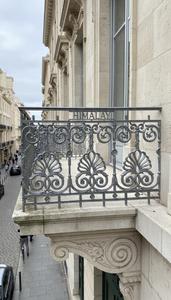 Clôture décorative extérieure moderne en acier et fer forgé avec motif floral en spirale, durable, pour balcon et escalier, garantie 5 ans, intemporelle - Product Image 3
