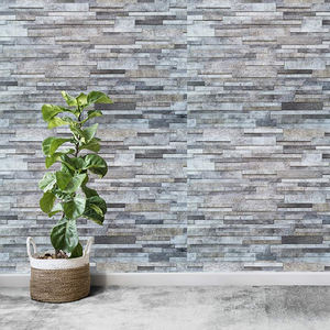 Azulejos Decorativos de Porcelana para Exteriores de 300x600 mm con Superficie de Alta Profundidad para Paredes Interiores y Exteriores - Product Image 3