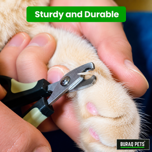 Coupe-ongles professionnel pour animaux de compagnie, ciseaux en acier inoxydable pour chiens et chats, fournisseur en gros - Product Image 4