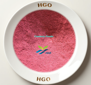 Suministro directo de fábrica de HGO de polvo de arándano natural puro (grado alimenticio) Especificación de polvo de fruta (polvo de fruta o vegetal) - Product Image 1