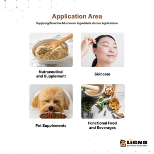 LiGNO TM02 ®   Poudre de Champignon Lactiflore - Ingrédient Complément Alimentaire pour Animaux de Compagnie pour le Soutien Immunitaire et Respiratoire - OEM Malaisie - Product Image 2