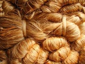 High Strength Raw Jute <b>Fiber</b> – Durable Natural <b>Fiber</b> for Industrial, Agricultural and Textile Industry Applications - Product Image 4